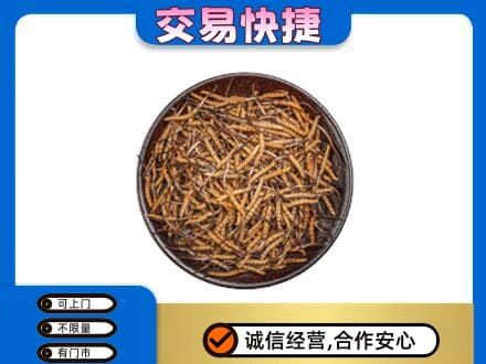平鲁区回收散虫草